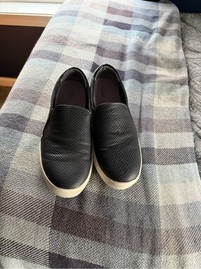 Women Dr.Scholl Slip-On Casual Shoes
